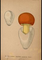 libromoderno/CUB0562080/00000022