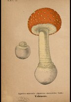 libromoderno/CUB0562080/00000023