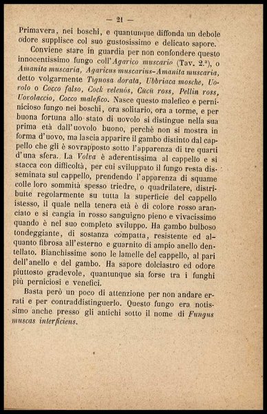 Gastromicologia, ossia Nozioni popolari sopra una gran parte delle migliori specie di funghi mangerecci, sul modo di cucinarli e conservarli : memoria / di Rossi Clemente
