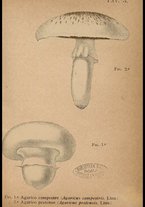libromoderno/CUB0562080/00000038