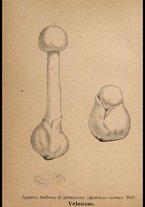 libromoderno/CUB0562080/00000039