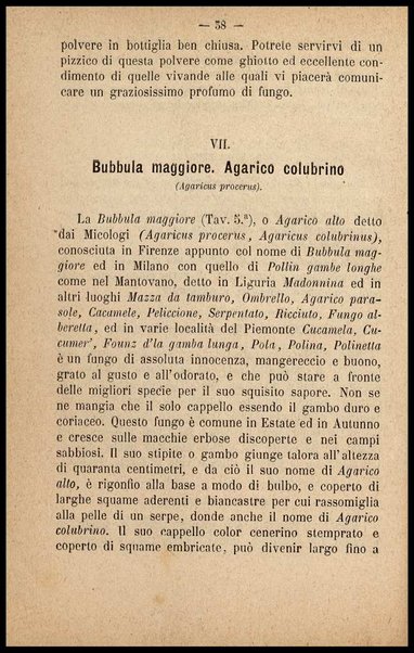 Gastromicologia, ossia Nozioni popolari sopra una gran parte delle migliori specie di funghi mangerecci, sul modo di cucinarli e conservarli : memoria / di Rossi Clemente