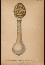 libromoderno/CUB0562080/00000044