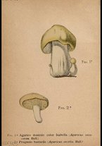 libromoderno/CUB0562080/00000049