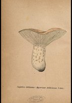 libromoderno/CUB0562080/00000057