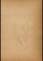 libromoderno/CUB0562080/00000062