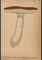 libromoderno/CUB0562080/00000072