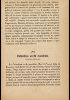 libromoderno/CUB0562080/00000074