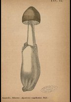 libromoderno/CUB0562080/00000084