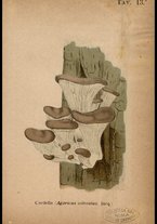 libromoderno/CUB0562080/00000088