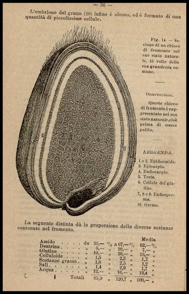 L'industria dei molini : costruzione, impianti, macinazione / di C. Siber Millot