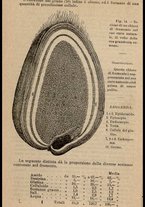 libromoderno/LO10180849/00000061