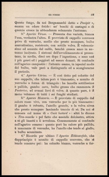 Dei cibi dell' uomo secondo le leggi dell'igiene e della fisiologia / studio del dottore Silvio Belotti