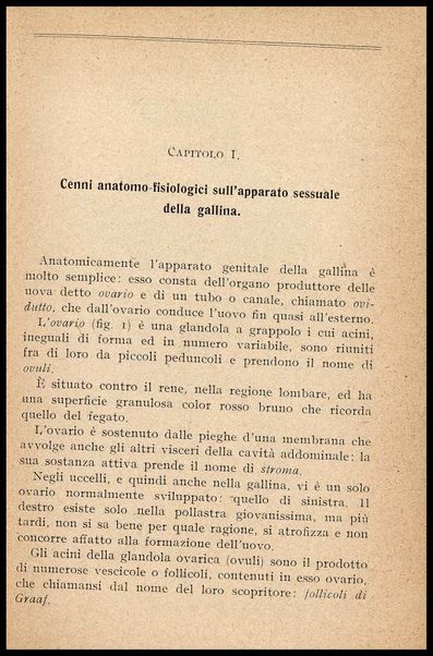 L'uovo di gallina : processi di conservazione e commercio / C. Viviani