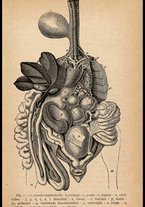 libromoderno/MIL0238033/00000018