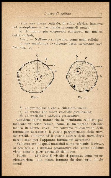 L'uovo di gallina : processi di conservazione e commercio / C. Viviani