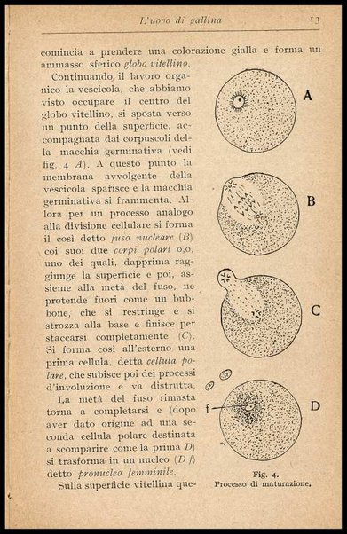L'uovo di gallina : processi di conservazione e commercio / C. Viviani