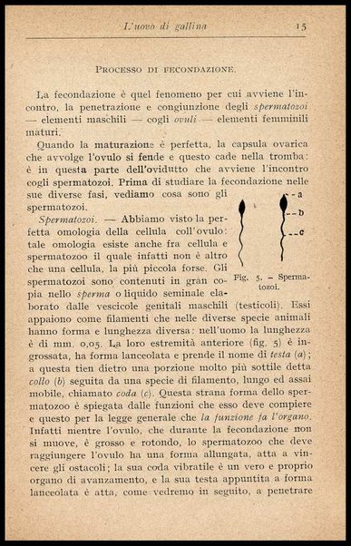 L'uovo di gallina : processi di conservazione e commercio / C. Viviani
