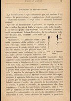 libromoderno/MIL0238033/00000028