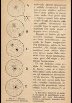 libromoderno/MIL0238033/00000029