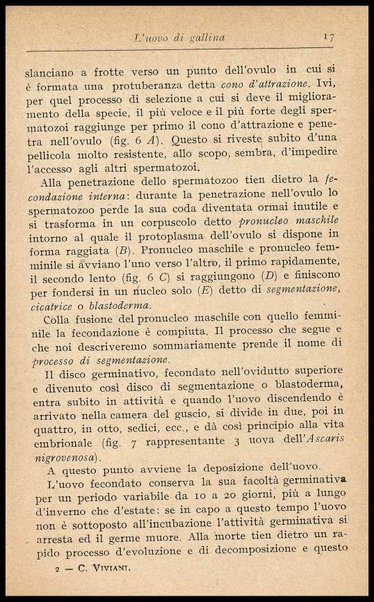 L'uovo di gallina : processi di conservazione e commercio / C. Viviani