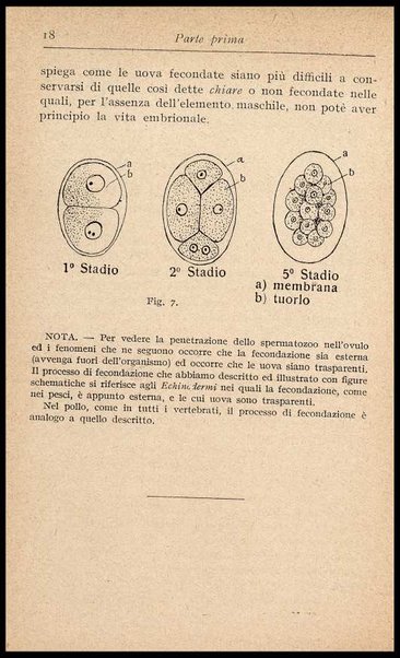 L'uovo di gallina : processi di conservazione e commercio / C. Viviani