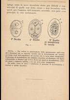 libromoderno/MIL0238033/00000031