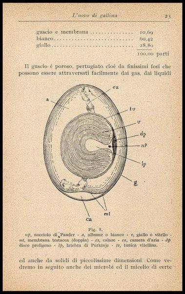 L'uovo di gallina : processi di conservazione e commercio / C. Viviani