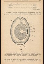 libromoderno/MIL0238033/00000036