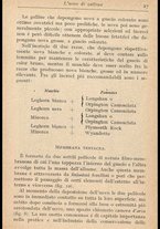 libromoderno/MIL0238033/00000040