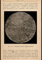 libromoderno/MIL0238033/00000041