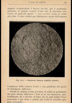 libromoderno/MIL0238033/00000042