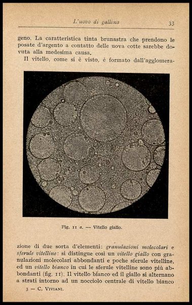 L'uovo di gallina : processi di conservazione e commercio / C. Viviani