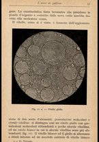 libromoderno/MIL0238033/00000044