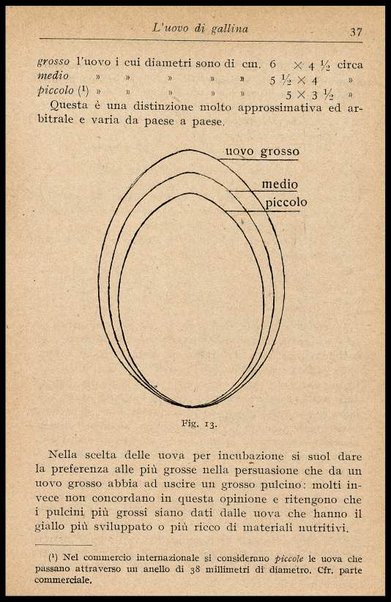 L'uovo di gallina : processi di conservazione e commercio / C. Viviani