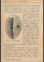 libromoderno/MIL0238033/00000073