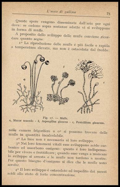 L'uovo di gallina : processi di conservazione e commercio / C. Viviani