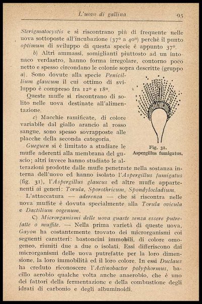 L'uovo di gallina : processi di conservazione e commercio / C. Viviani