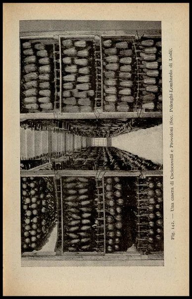 2: Burro e formaggio / Giuseppe Fascetti