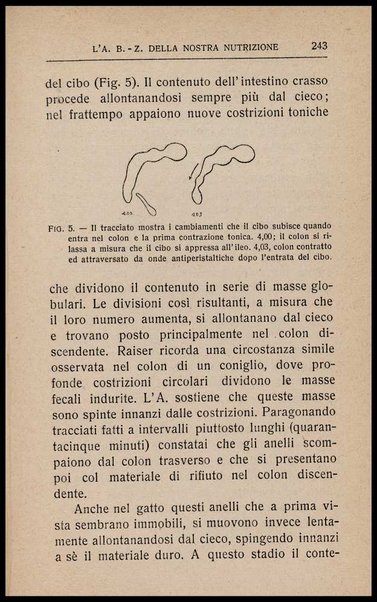 L'appetito, i cibi e lo stomaco : seguito all'Arte di mangiar poco, seconda ed ultima parte dell'a b z della nostra nutrizione / Horace Fletcher ; traduzione di Arturo Sacchi
