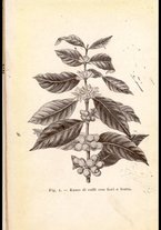 libromoderno/NAP0231984/00000002