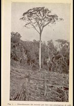 libromoderno/NAP0231984/00000081