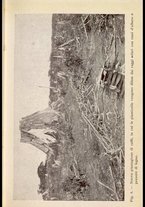 libromoderno/NAP0231984/00000091