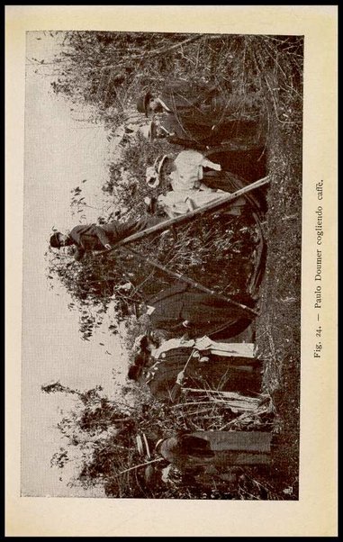 Il caffè, il suo paese e la sua importanza : S. Paulo del Brasile / B. Belli