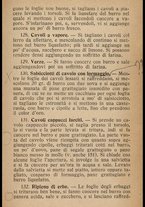 libromoderno/RAV1649909/00000062