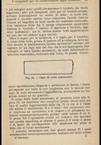 libromoderno/TO00337221/00000061