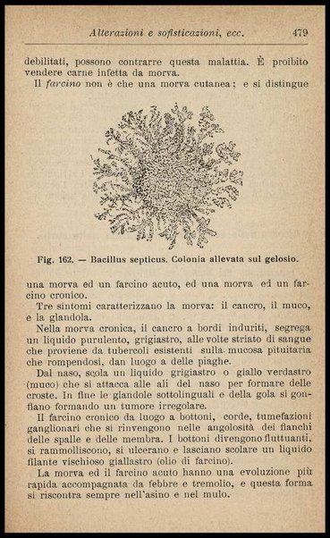 L'industria delle conserve alimentari / G. D'Onofrio