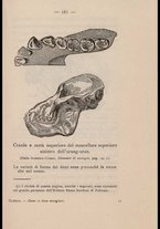 libromoderno/TO00366943/00000176