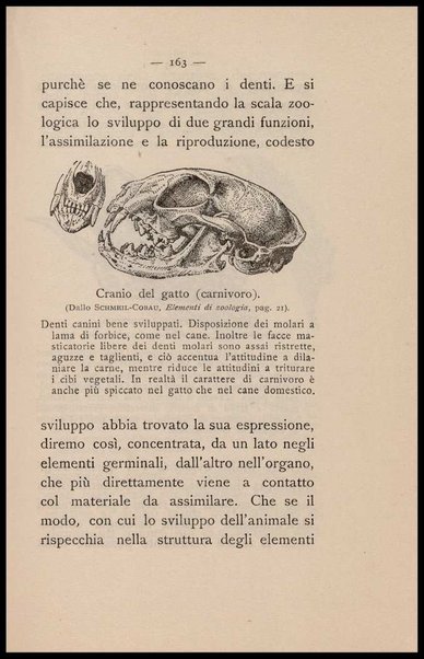 Come si deve mangiare : saggio di fisiologia volgarizzata / Alessandro Clerici (Dott. RV)