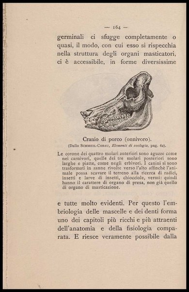 Come si deve mangiare : saggio di fisiologia volgarizzata / Alessandro Clerici (Dott. RV)
